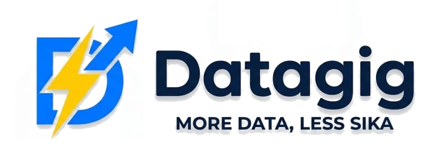 DataGig Logo